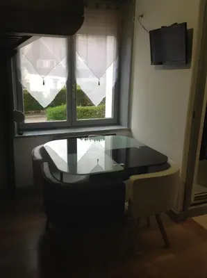 Télévision ou salle de divertissement dans l'établissement studio des écureuil