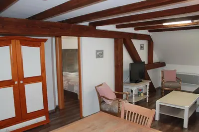 Télévision ou salle de divertissement dans l'établissement Grand Gite Angelique avec Jardin - Centre Ribeauvillé