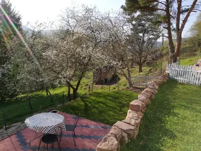Jardin de l'établissement Le nid du Kaloui