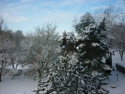 L'établissement L'Orée du Parc à Belfort en hiver