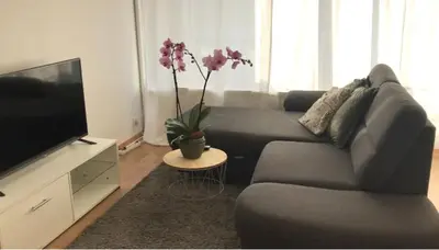 Télévision ou salle de divertissement dans l'établissement Bel Appartement near Bâle Mulhouse Airport