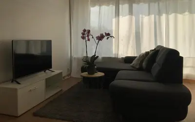 Télévision ou salle de divertissement dans l'établissement Bel Appartement near Bâle Mulhouse Airport