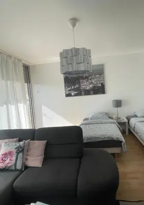 Coin salon dans l'établissement Bel Appartement near Bâle Mulhouse Airport