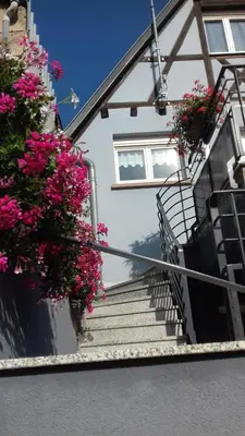 Balcon ou terrasse dans l'établissement Maison de Tante Louise