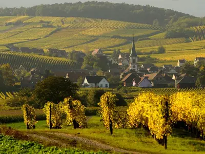 Paysage naturel près de l'appartement