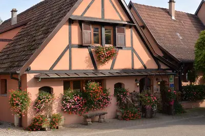 Jardin de l'établissement Gite coté jardin FAHRER ACKERMANN