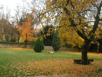 Jardin de l'établissement Gite coté jardin FAHRER ACKERMANN