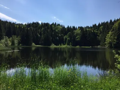 Paysage naturel près de le chalet