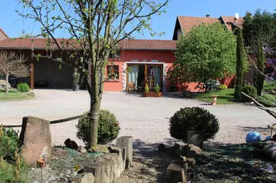 Jardin de l'établissement Gîte au centre de l'alsace