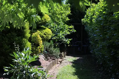 Jardin de l'établissement Gîte au centre de l'alsace