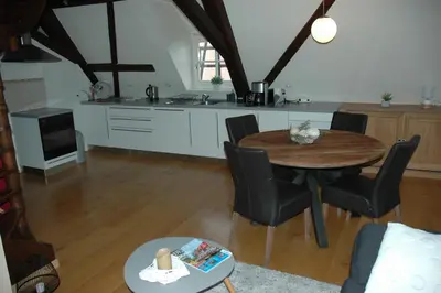 Cuisine ou kitchenette dans l'établissement appartement à Colmar