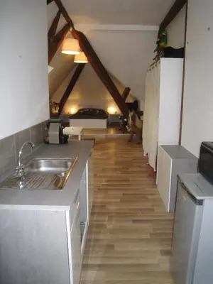 Cuisine ou kitchenette dans l'établissement Appartement et gîte Chez l'Habitant