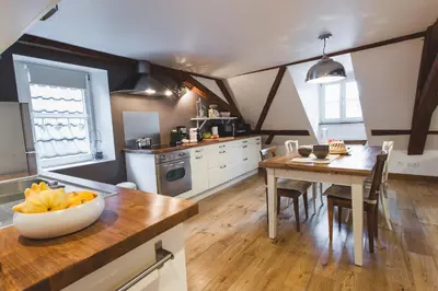 Cuisine ou kitchenette dans l'établissement Hissla Riquewihr Apartments