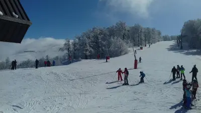 L'établissement Les feignes cerfdoré en hiver