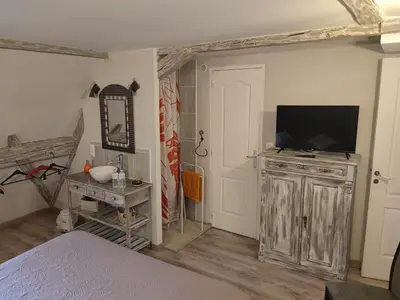 Télévision ou salle de divertissement dans l'établissement Demeure d'antan