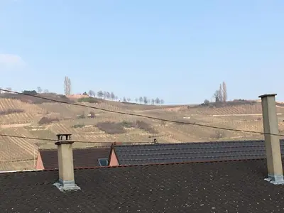 Paysage naturel près de la maison de vacances