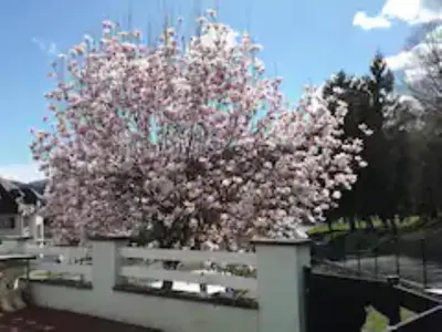 Jardin de l'établissement Gîte spacieux, lumineux et très cosy