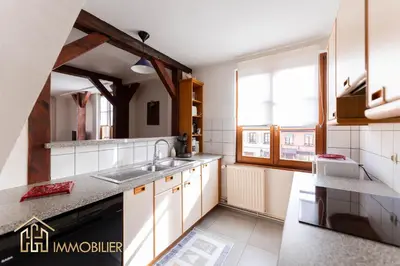 Cuisine ou kitchenette dans l'établissement Au Bonheur des Anges Appartement 2 chambres avec terrasse