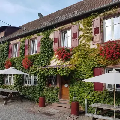 Hôtel du Haut Koenigsbourg- entre vignes et château