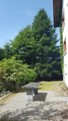 Jardin de l'établissement Chalet La Zaubette 8 personnes