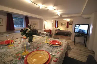 Télévision ou salle de divertissement dans l'établissement Confort et calme à Colmar