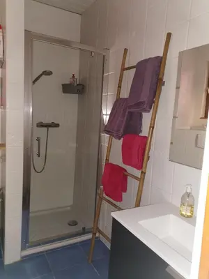 Salle de bains dans l'établissement Le gite de Coco
