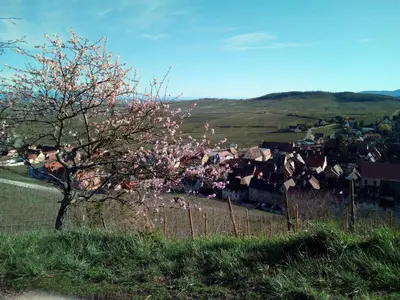 Paysage naturel près de la maison de vacances