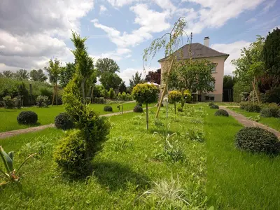 Jardin de l'établissement B&B 