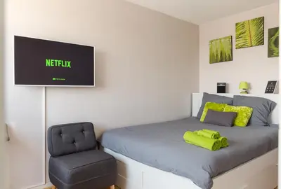 Télévision ou salle de divertissement dans l'établissement Travel Homes - Le Wilson, face à la gare
