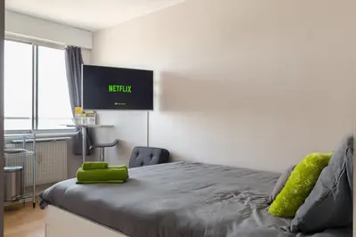 Un ou plusieurs lits dans un hébergement de l'établissement Travel Homes - Le Wilson, face à la gare