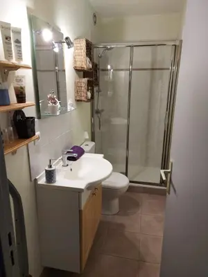 Salle de bains dans l'établissement Appartement 50m du Lac
