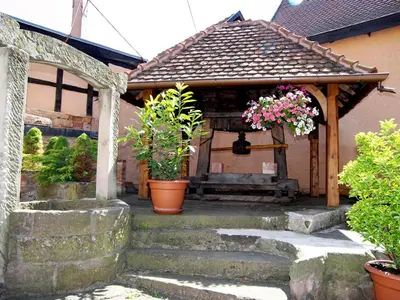 Jardin de l'établissement Caveau de l'ami Fritz