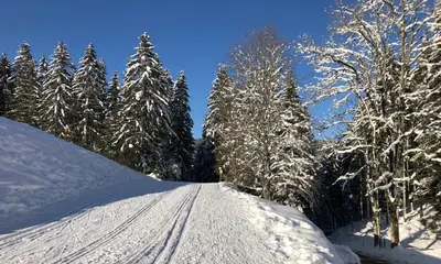 L'établissement Le batelier du lac en hiver