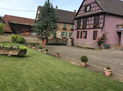Jardin de l'établissement Gite HEINRICH