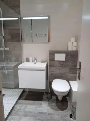 Salle de bains dans l'établissement Executive Studios near Basel