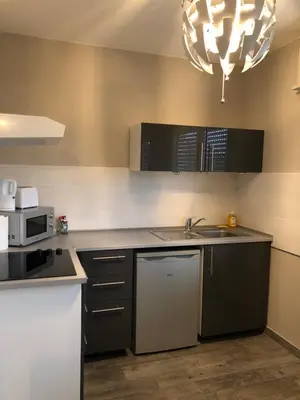 Cuisine ou kitchenette dans l'établissement Executive Studios near Basel