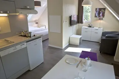 Cuisine ou kitchenette dans l'établissement Résidence Les Rives de la Fecht - Colmar Ouest