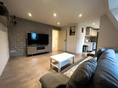 Télévision ou salle de divertissement dans l'établissement Le 4 - Très beau appartement T3 Neuf, tout confort, Mulhouse centre ville - stationnement gratuit