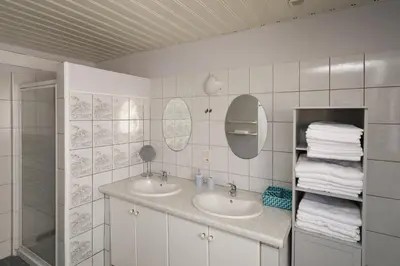 Salle de bains dans l'établissement Maison centre ville Colmar Jacuzzi Jardin et climatisation