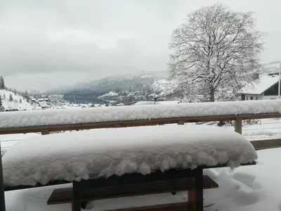 L'établissement l'Edelweiss en hiver