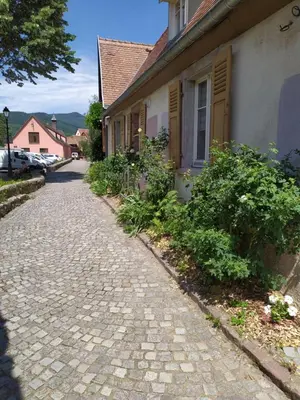 Quartier de l'appartement ou autre quartier proche