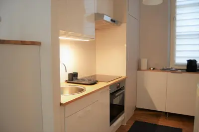 Cuisine ou kitchenette dans l'établissement LE VOLTAIRE COLMAR CENTRE