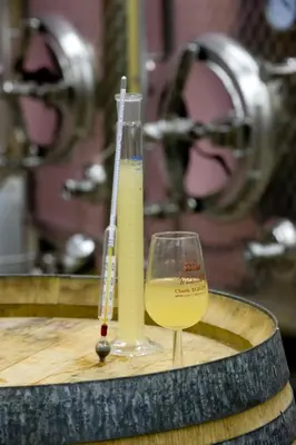 Boissons dans l'établissement Domaine Bleger by Windmuehl