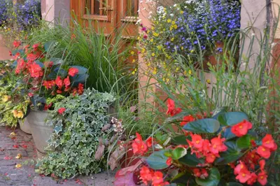 Jardin de l'établissement Hôtel le Saint Nicolas