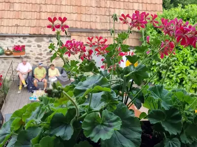 Jardin de l'établissement Le Gambrinus Chambres d'hôtes et restaurant
