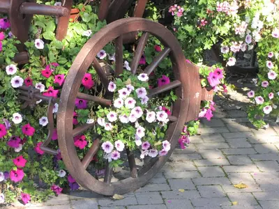 Jardin de l'établissement Hotel Le Caballin