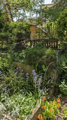Jardin de l'établissement Le Petit Parc