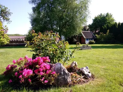 Jardin de l'établissement Maison Curiale