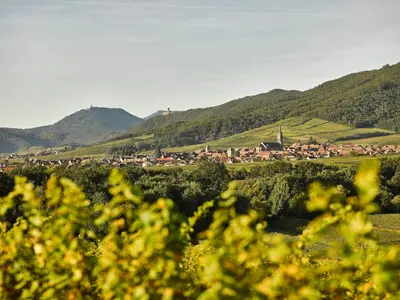 Paysage naturel près de le B&B/chambre d'hôtes