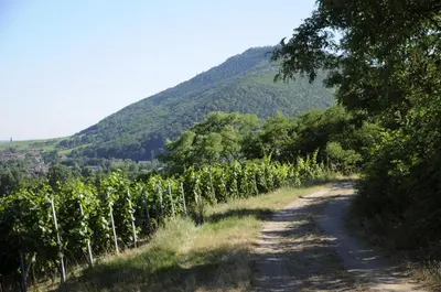 Paysage naturel près de l'appartement